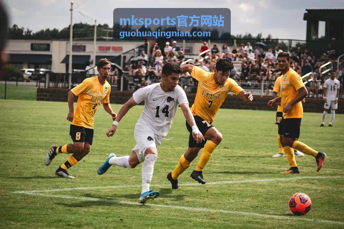mksports官方网站会员权益开通与账号管理界面